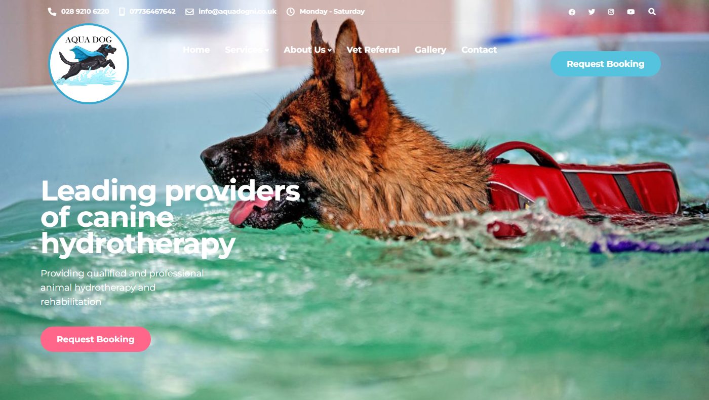 Aqua Dog NI website home page with a dog swimming in a hydrotherapy pool and a request booking button
